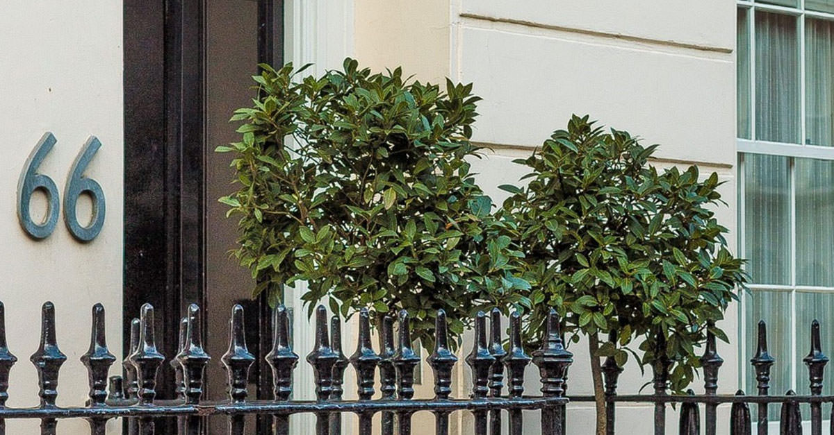 B&B Belgravia